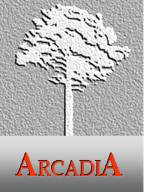 Arcadia Asesoria E Inversiones SL